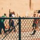 The psychology of the street brawl